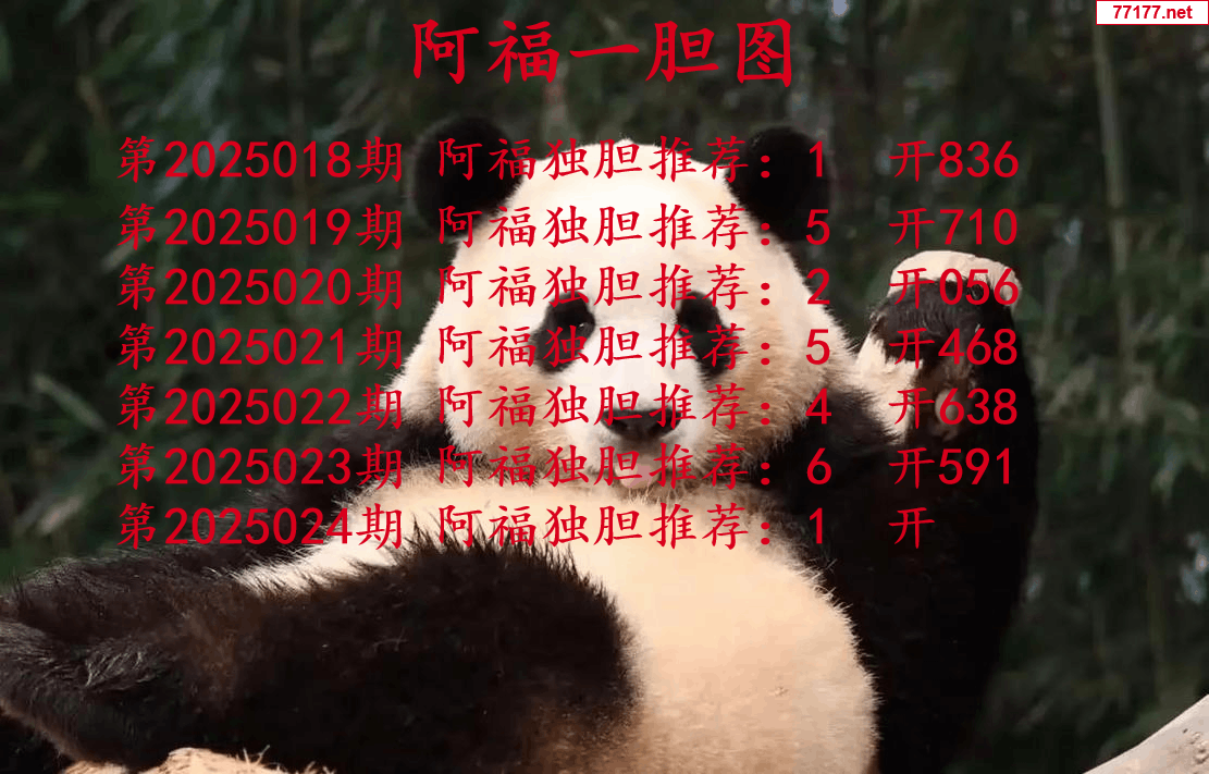 阿福图25年024期3d阿福一胆图