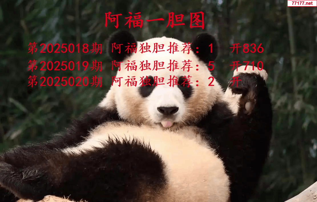 阿福图25年020期3d阿福一胆图