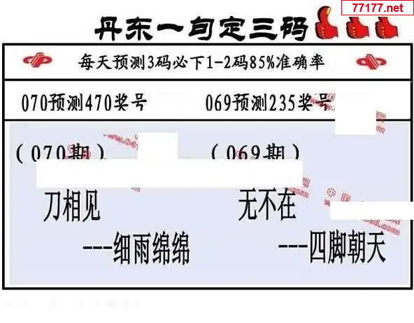丹东图25年070期3d丹东一句定三码